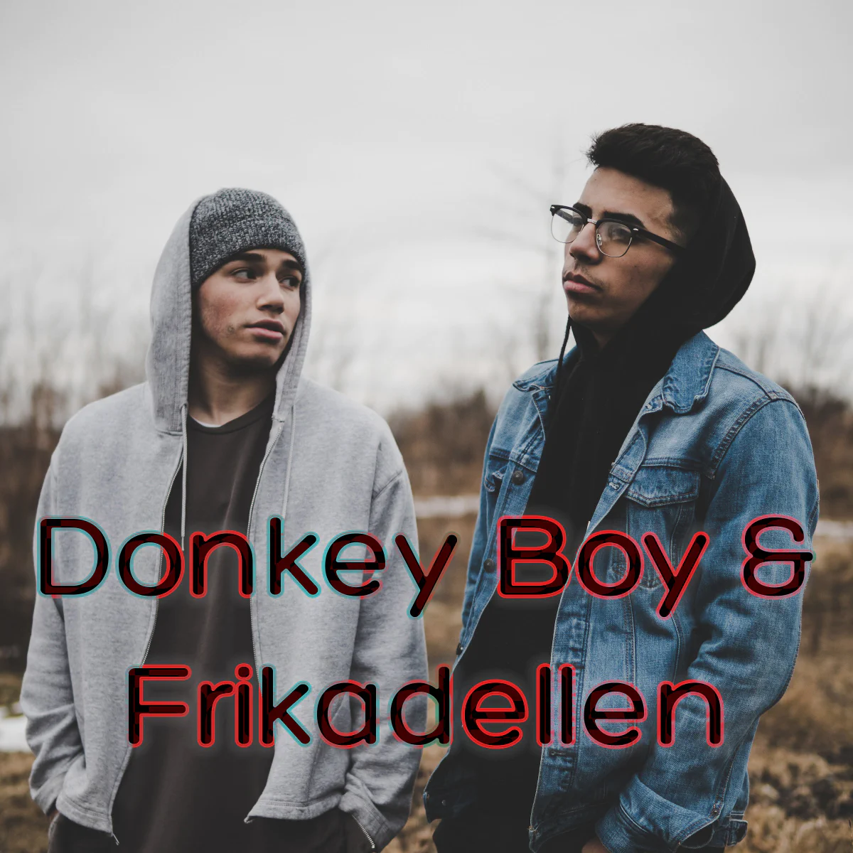 Donkey Boy & Frikadellen gør ondt at lytte til