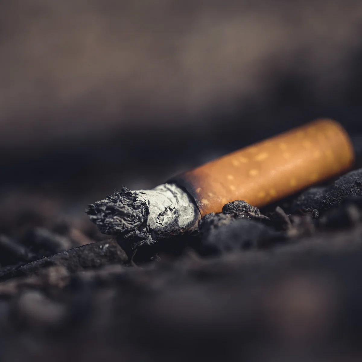 Hvad taber vi i kunsten, når cigaretten går op i røg?
