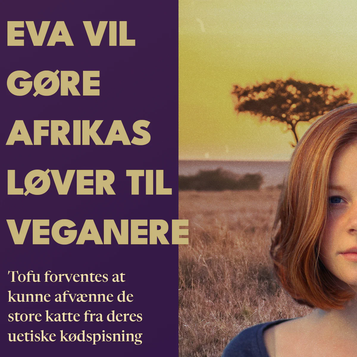 Eva vil gøre Afrikas løver til veganere