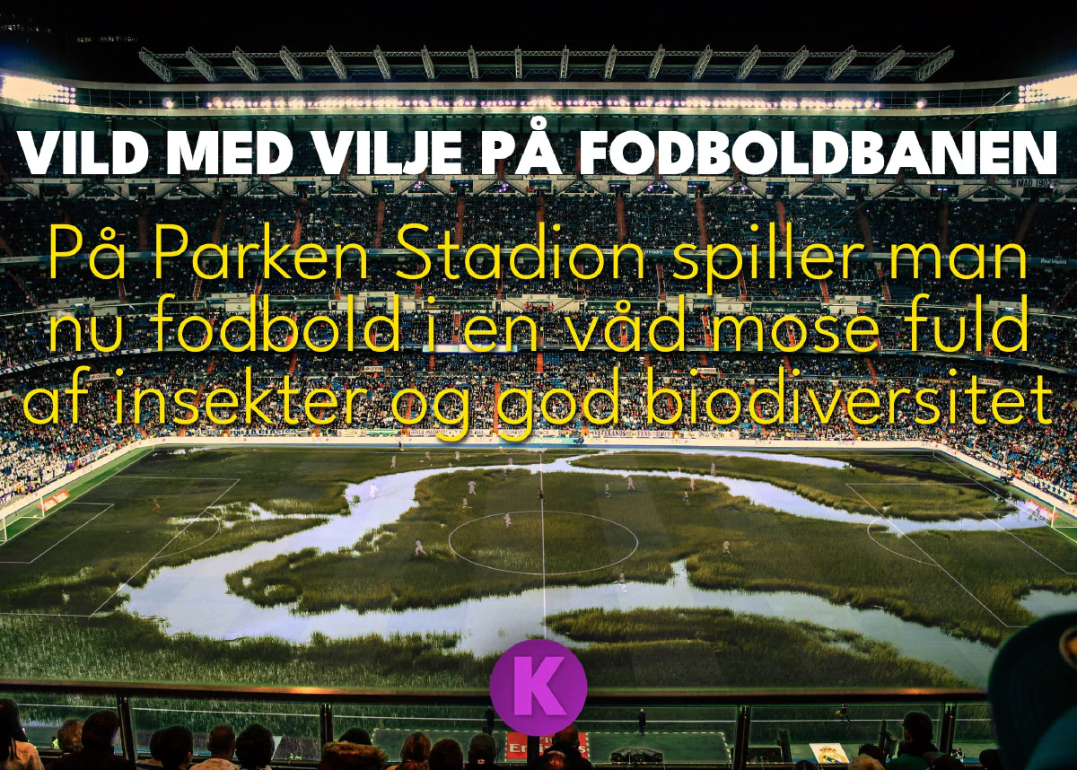 Vild med vilje på fodboldbanen