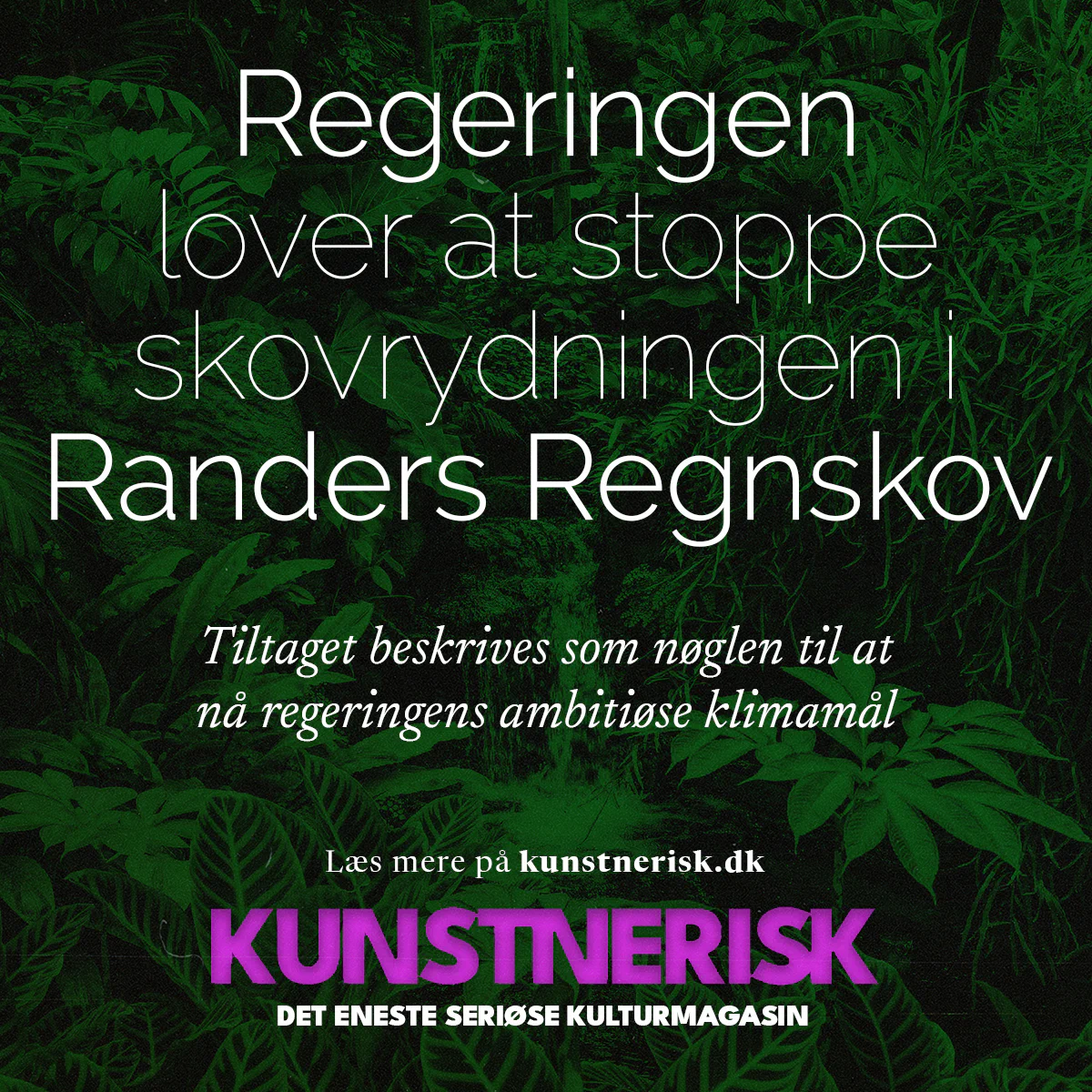 Regeringen lover at stoppe skovrydningen i Randers Regnskov